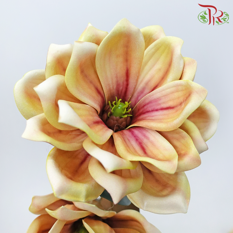 79cm - Artificial Magnolia Spray - Yellow With Purple Inner (2 Stems)-Yellow With Purple Inner-Pudu Ria Florist-prflorist.com.my