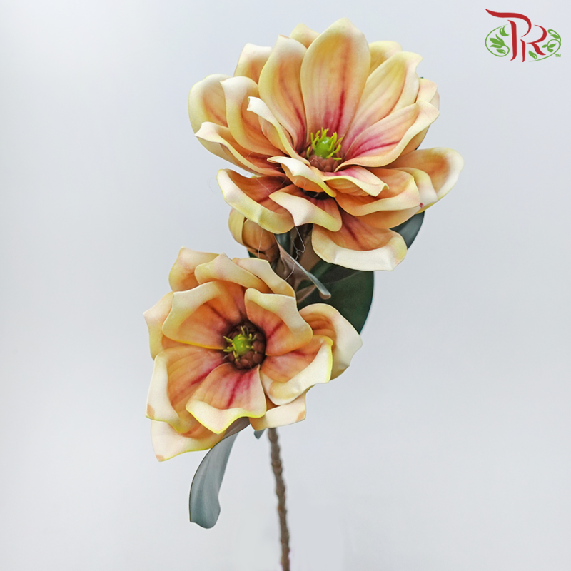 79cm - Artificial Magnolia Spray - Yellow With Purple Inner (2 Stems)-Yellow With Purple Inner-Pudu Ria Florist-prflorist.com.my