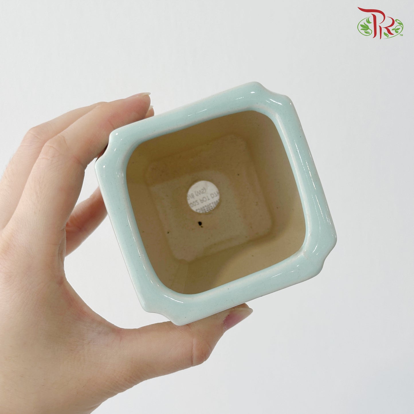 AD-X002 Happiness Pot (With Color Option)