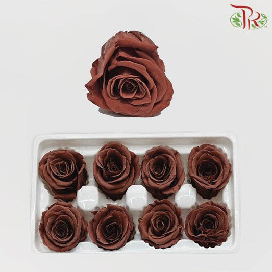 8 Bloom Rose - Brown-Brown-China-prflorist.com.my