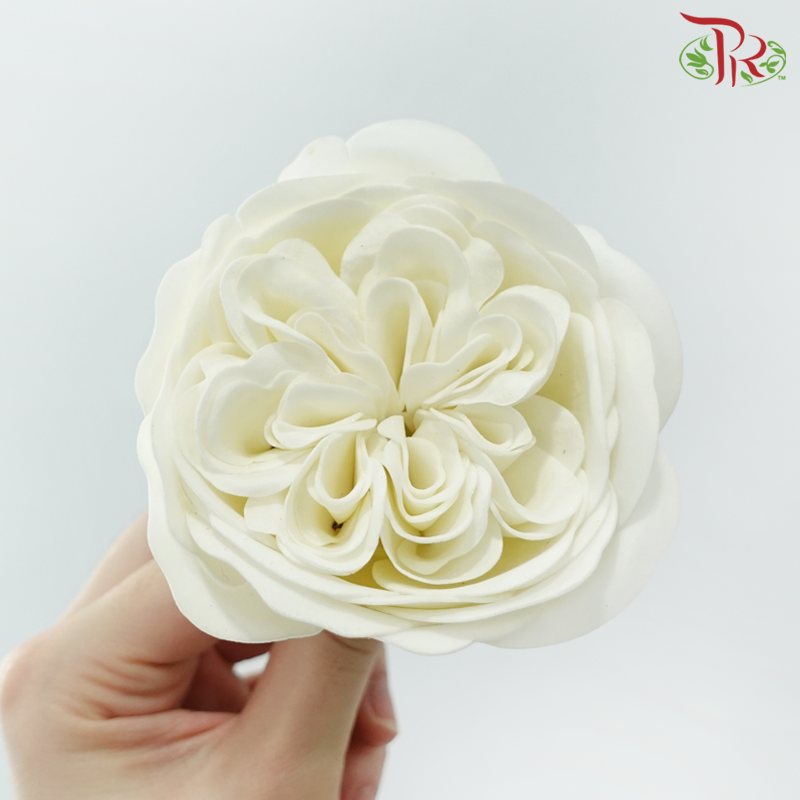 8 Blooms Austen Rose Soap Flower - Cream-Cream-Pudu Ria Florist-prflorist.com.my