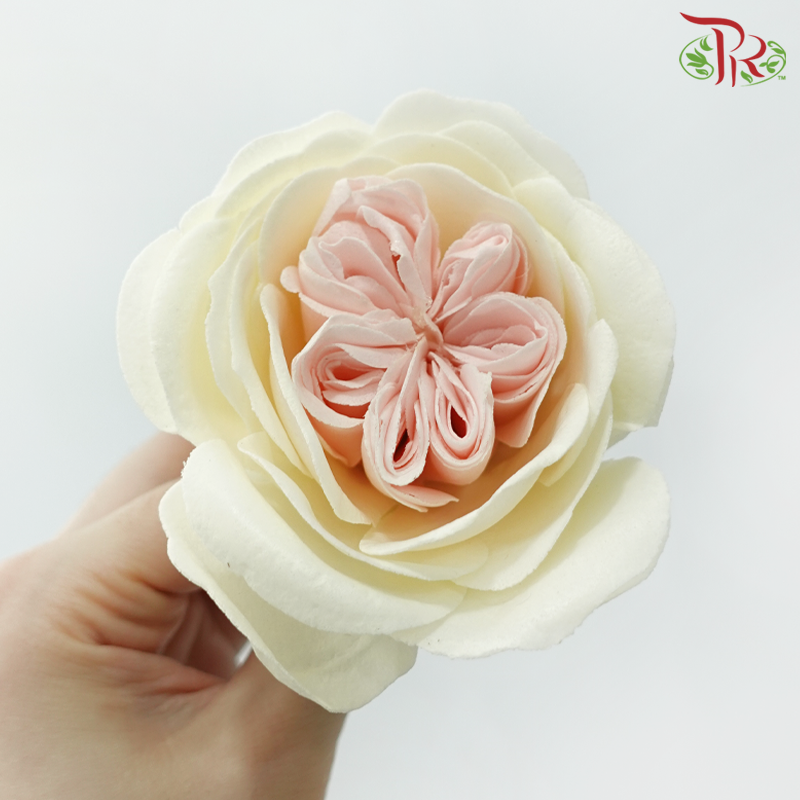 8 Blooms Austen Rose Soap Flower - Cream With Inner Pink (FBA088 #5)-Cream With Inner Pink-Pudu Ria Florist-prflorist.com.my