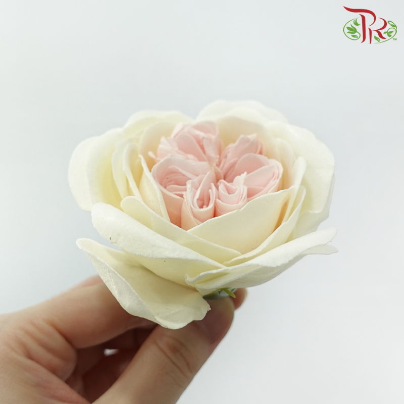 8 Blooms Austen Rose Soap Flower - Cream With Inner Pink (FBA088 #5)-Cream With Inner Pink-Pudu Ria Florist-prflorist.com.my