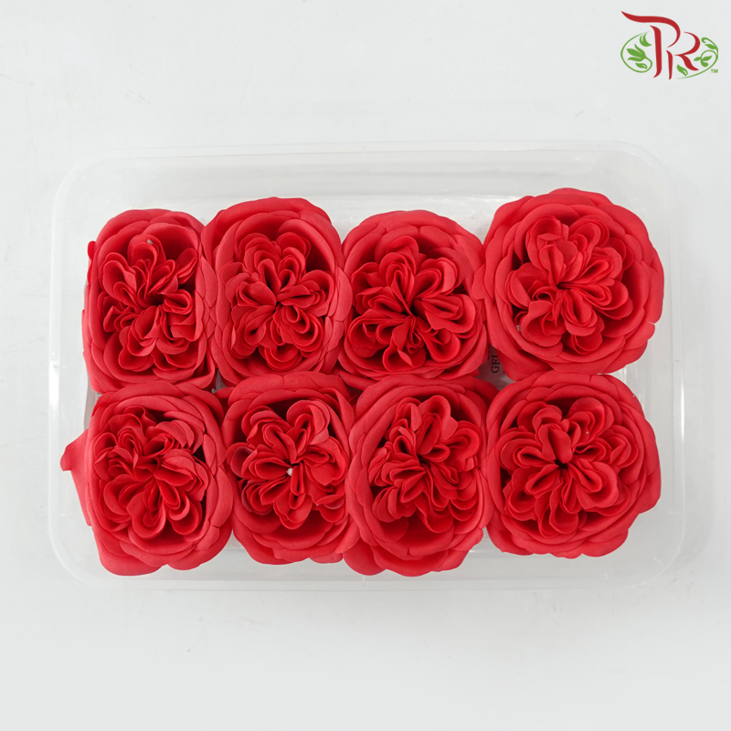 8 Blooms Austen Rose Soap Flower - Red (FBA088)-Red-Pudu Ria Florist-prflorist.com.my