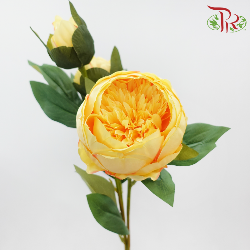 80cm - Artificial Peony Sarah - Yellow (2 Stems)