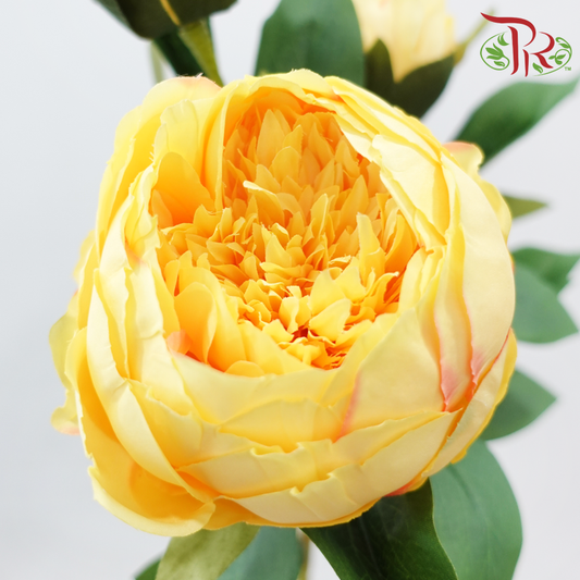 80cm - Artificial Peony Sarah - Yellow (2 Stems)