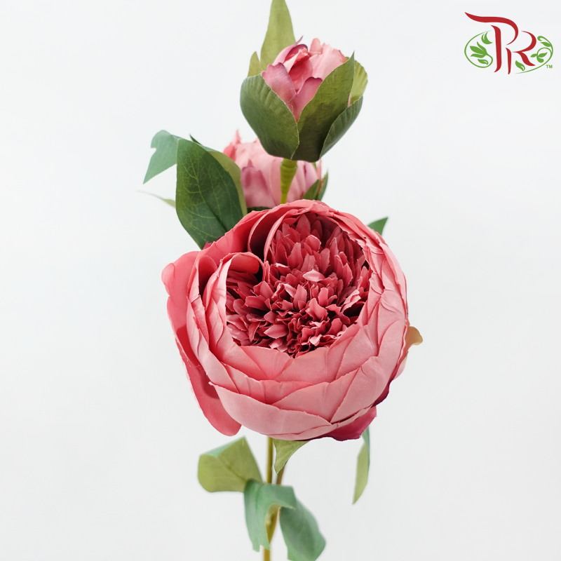 80cm - Artificial Peony Sarah - Beauty (2 Stems)