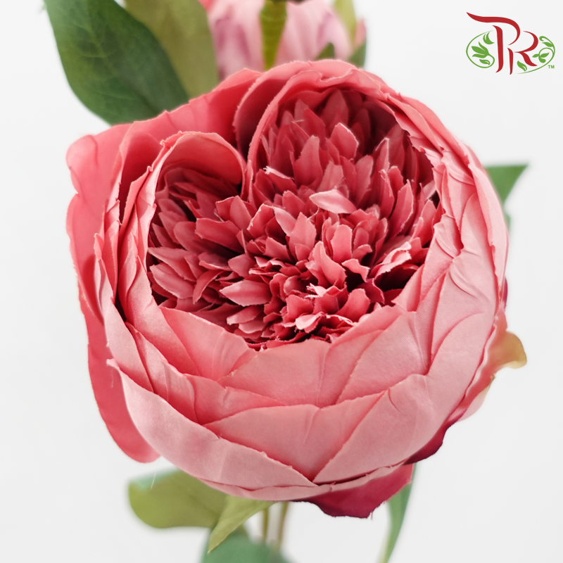 80cm - Artificial Peony Sarah - Beauty (2 Stems)