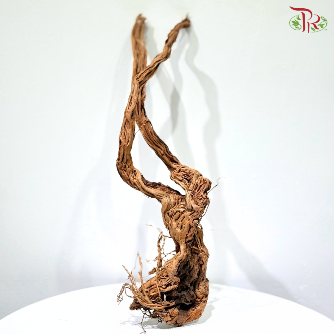 MA HUA TENG WOOD《麻花腾》1KG