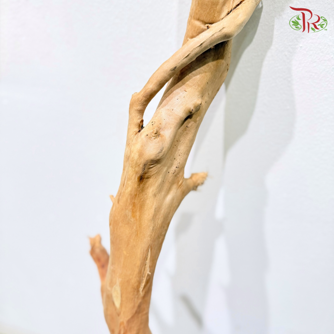 FINE DUJUANGEN ROOT《精品杜鹃根》1KG