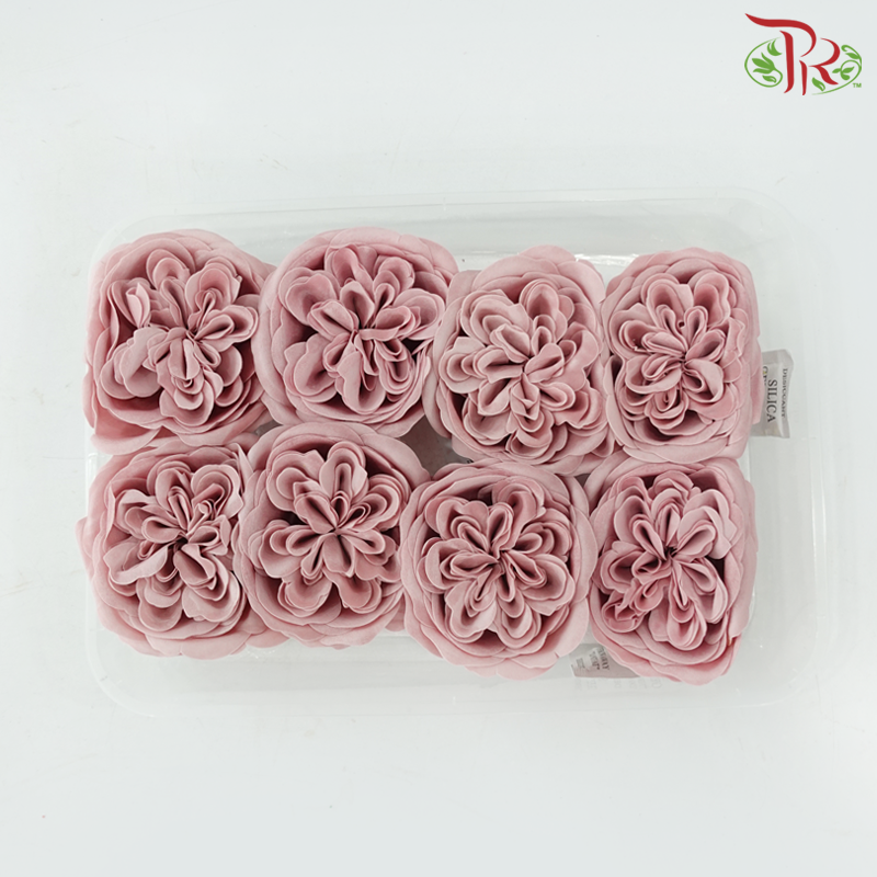 8 Blooms Austen Rose Soap Flower - Pink (FBA088 #1)