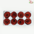 8 Blooms Preserved Roses - Rust
