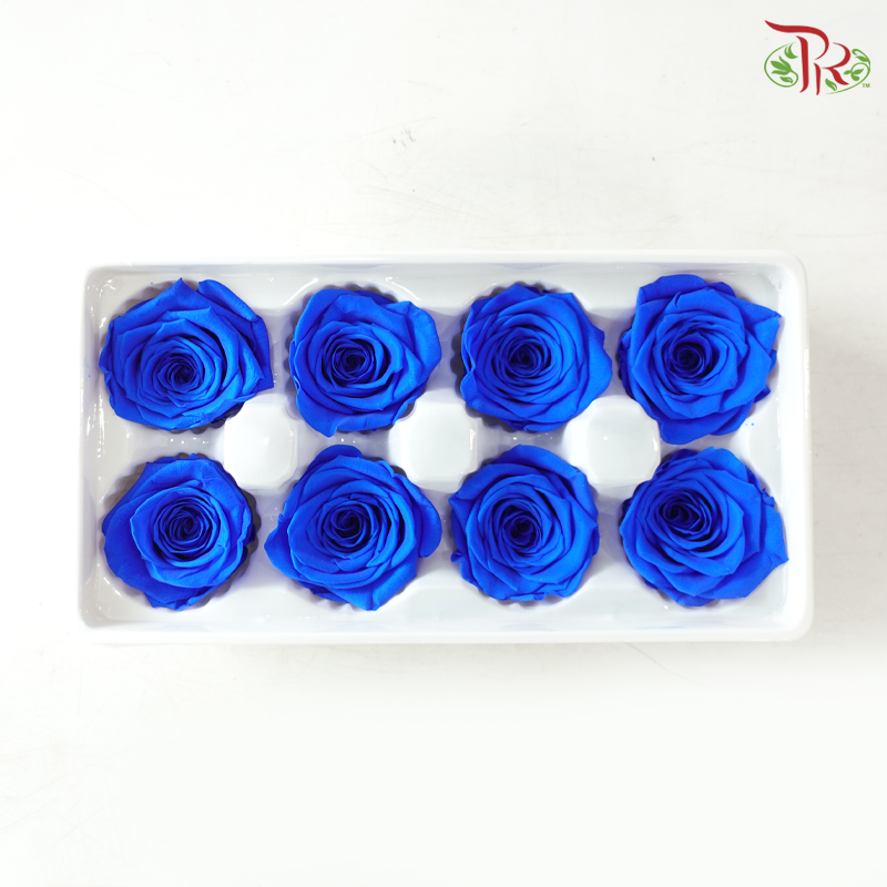 Preserved Roses - Dark Blue ( 8 Blooms )