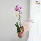 【Mum's Series】Sweet Love Bloom 《甜粉之爱》