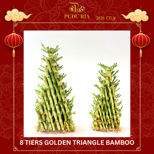 8 Golden Triangle Bamboo (30cm/ 40cm) 金八层