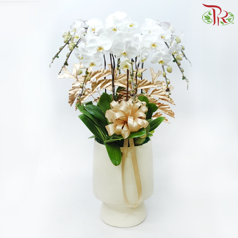 8in1 Premium Orchids Arrangement in Tall Pot XY-A12 Beige (With Decor Options) (Random Choose Orchid Colour & Design)-With Gold Leaf Decor-Pudu Ria Florist-prflorist.com.my