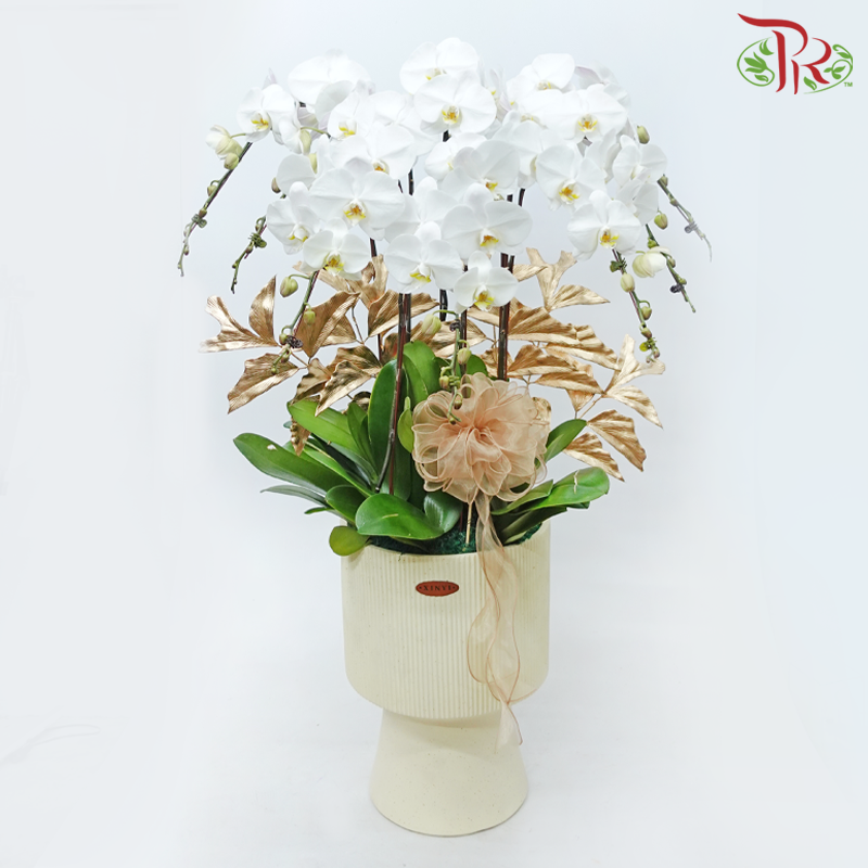 8in1 Premium Orchids Arrangement in Tall Pot XY-A19 (With Decor Options) (Random Choose Orchid Colour & Design)-With Gold Leaf Decor-Pudu Ria Florist-prflorist.com.my