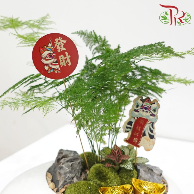 CNY Asparagus Arrangement in White Pot《蛇跃竹摇》 (Random Choose Design & CNY Ornaments)