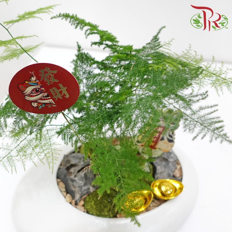 CNY Asparagus Arrangement in White Pot《蛇跃竹摇》 (Random Choose Design & CNY Ornaments)