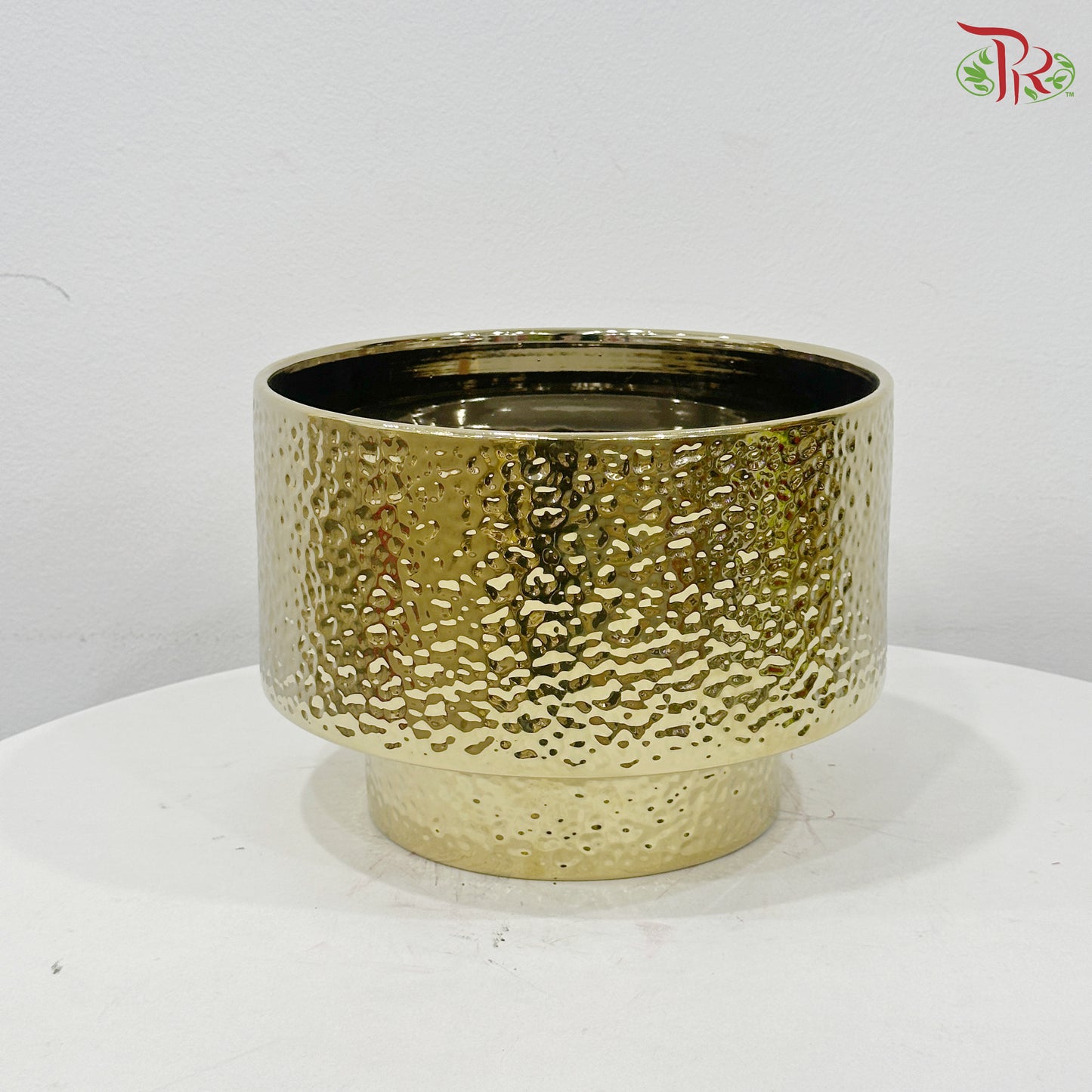 TX-WD10233C Gold Pot (With Size Option)