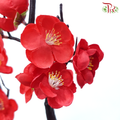 94cm Artificial Cherry Blossom Spray - Red (2 Stems)