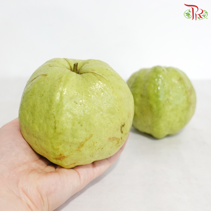 Guava / Jambu《番石榴》(Per Pack)