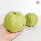 Guava / Jambu《番石榴》(Per Pack)