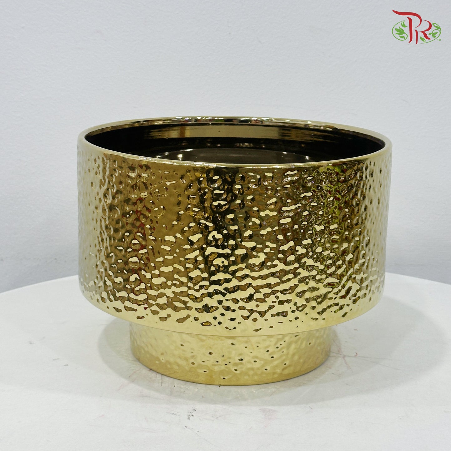 TX-WD10233C Gold Pot (With Size Option)
