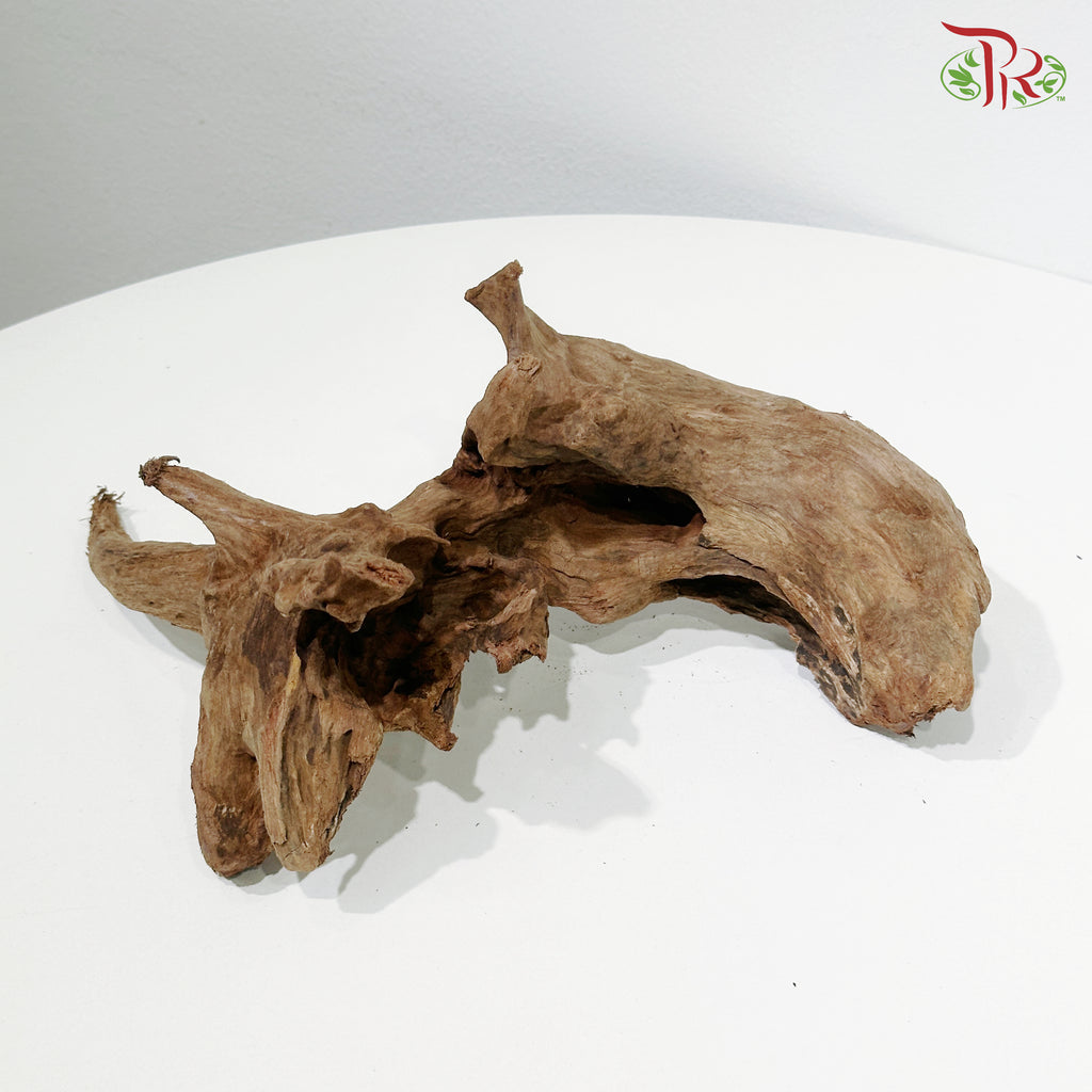 Coral Wood《珊瑚木》1KG