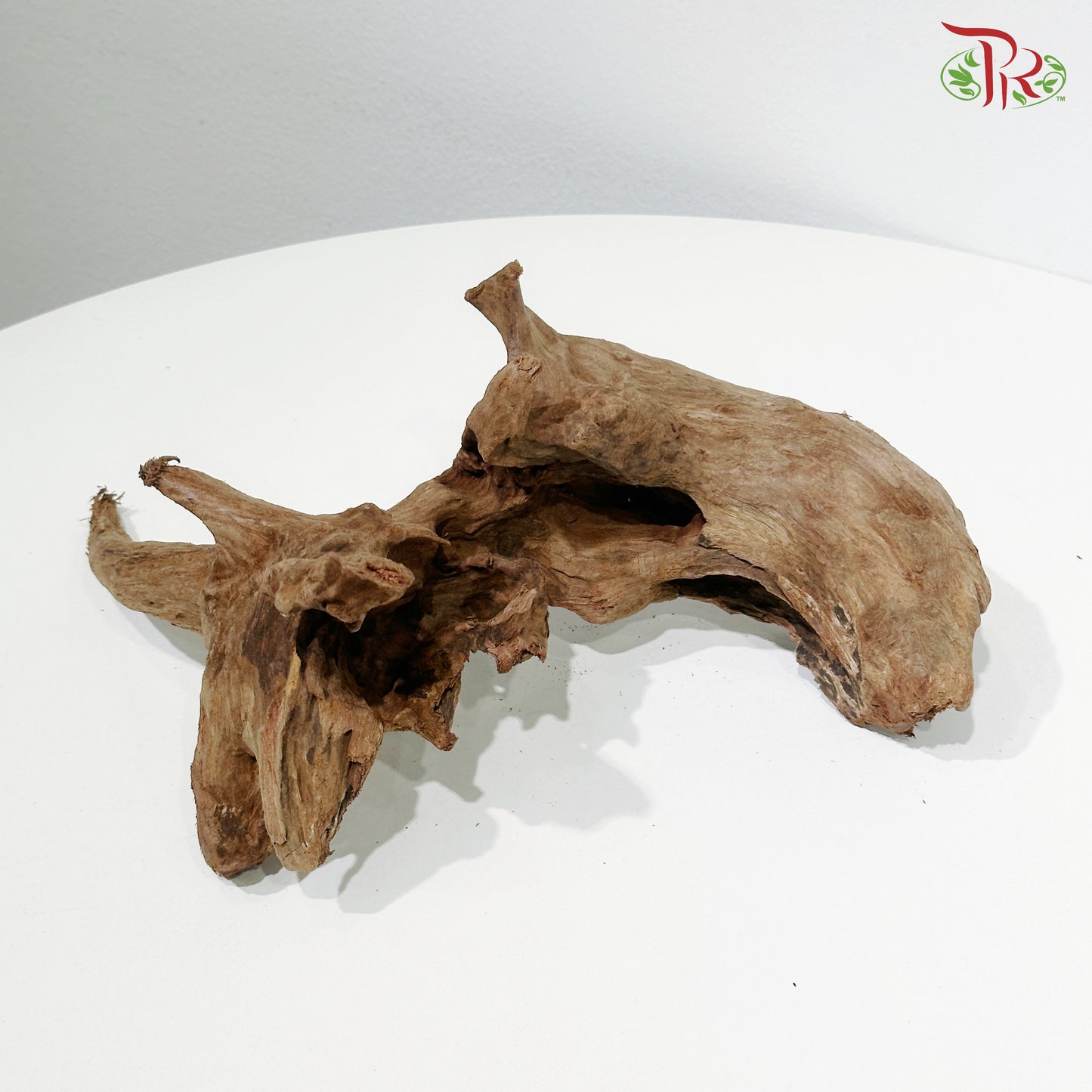 Coral Wood《珊瑚木》1KG