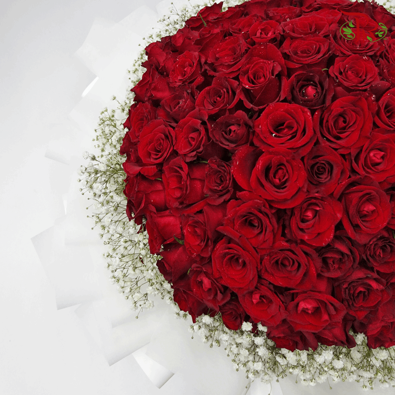 99 Fresh Roses With Baby's Breath (XL Hand Bouquet)-Pudu Ria Florist-prflorist.com.my