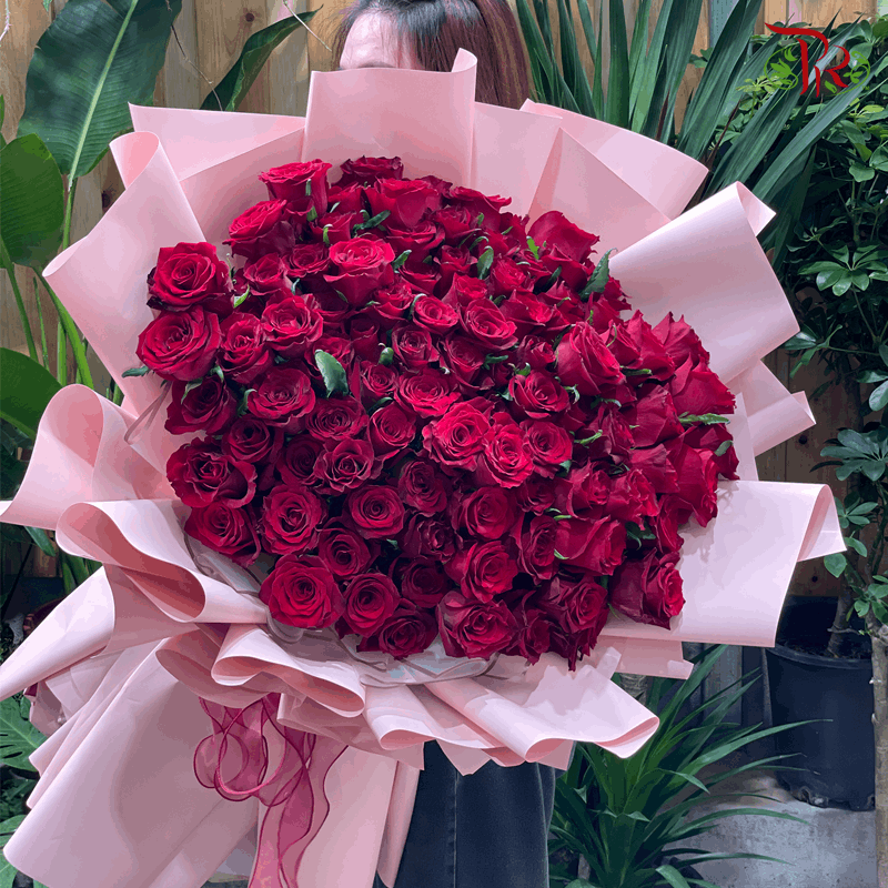 99 Roses Red Rose With One-Sided Pink Wrapping-Hand Bouquet (XL size)-Pudu Ria Florist-prflorist.com.my