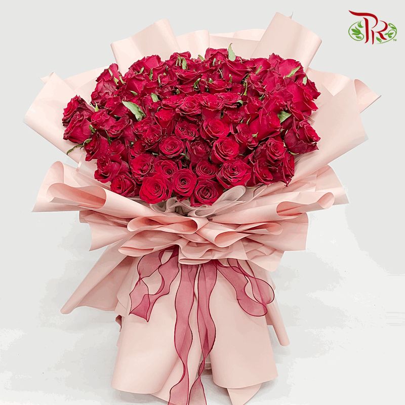 99 Roses Red Rose With One-Sided Pink Wrapping (XL size)-Pudu Ria Florist-prflorist.com.my