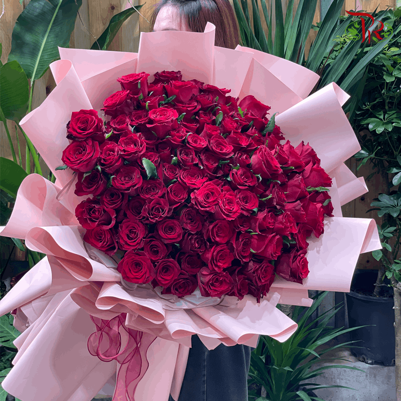 99 Roses Red Rose With One-Sided Pink Wrapping (XL size)-Pudu Ria Florist-prflorist.com.my