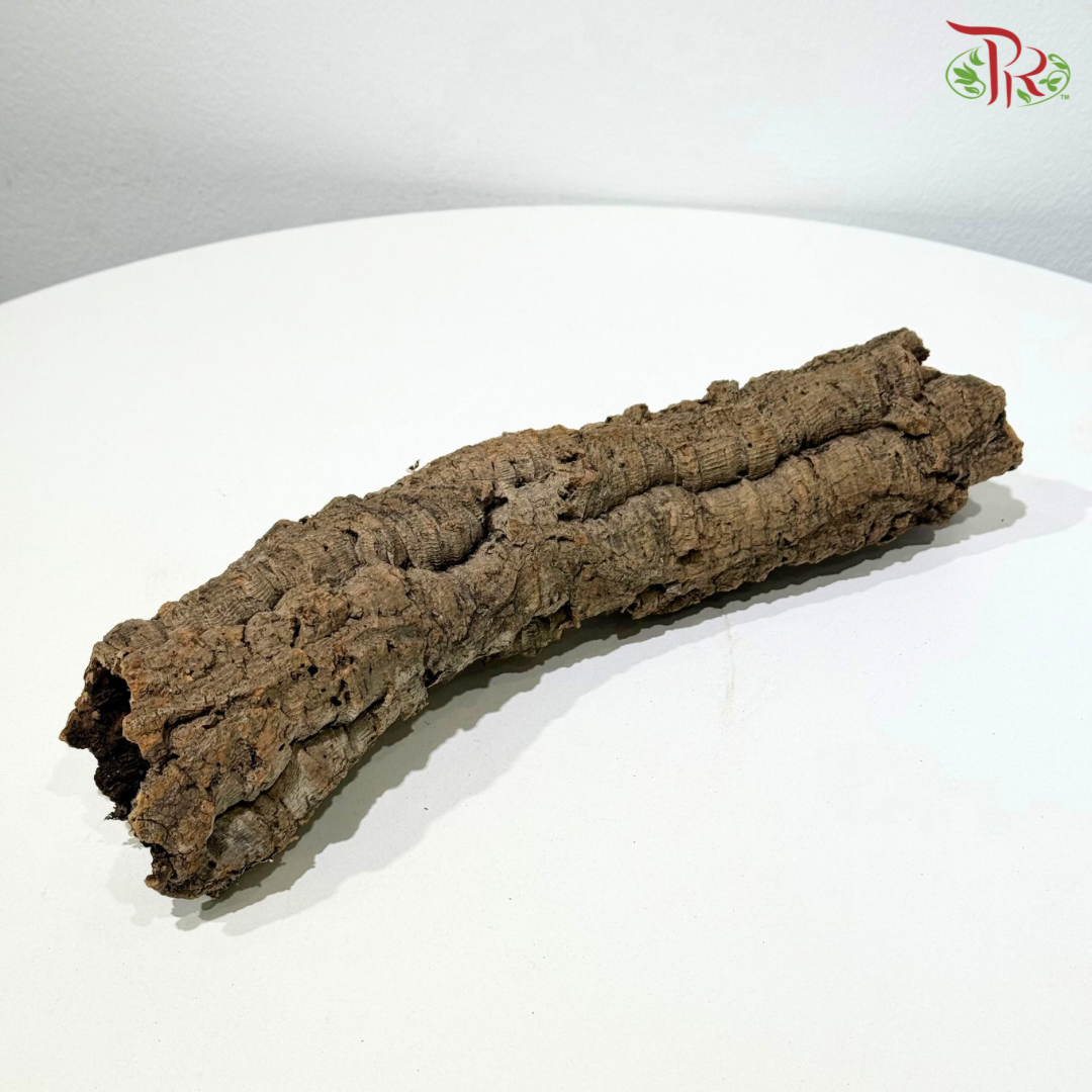 IMPORTED CORK《进口软木》1KG