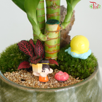 【中秋系列 Mid Autumn Series】Bamboo Blessings Under the Full Moon《月满竹安》