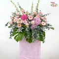 Opening Stand In Pink Box