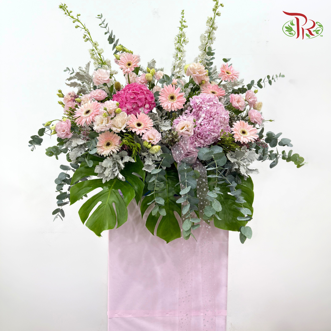Opening Stand In Pink Box