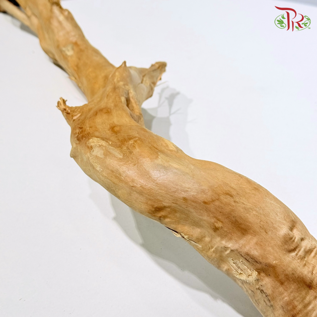 FINE DUJUANGEN ROOT《精品杜鹃根》1KG