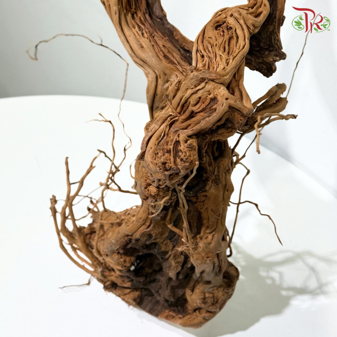 MA HUA TENG WOOD《麻花腾》1KG