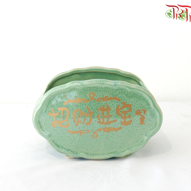 AD-2006 - Pot (With Color Option)