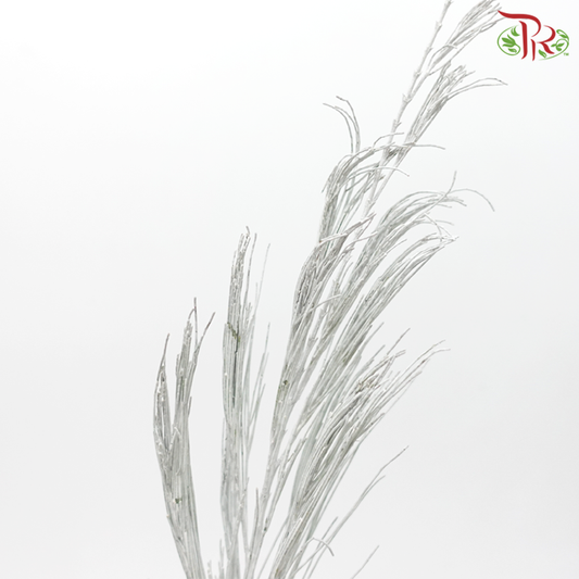 Beefwood Xmas Dyed - Silver (5 Stems) - Pudu Ria Florist