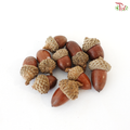 Acorn (10PCS Per Pack)