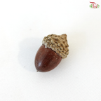 Acorn (10PCS Per Pack)