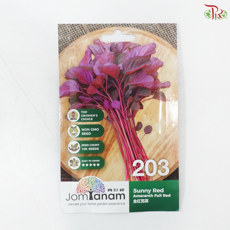 【Jom Tanam Seeds】Vegetable Series (Per Pack) (With Options)