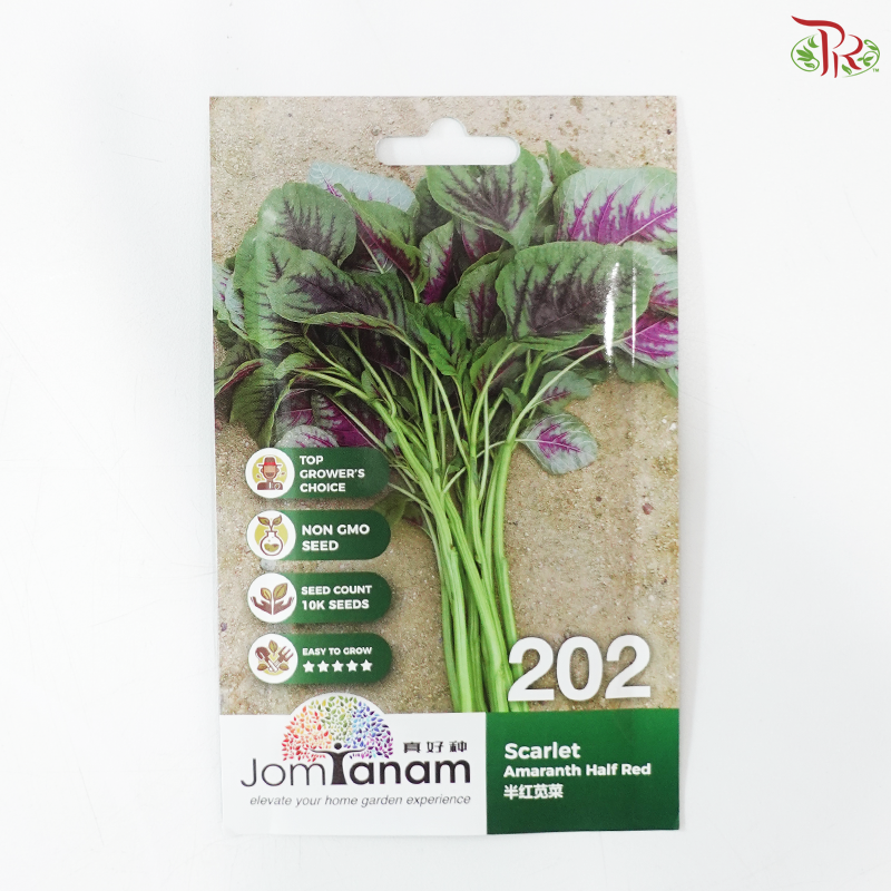 【Jom Tanam Seeds】Vegetable Series (Per Pack) (With Options)