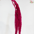Preserved Amaranthus - Dark Cherry Pink (Per Bunch)
