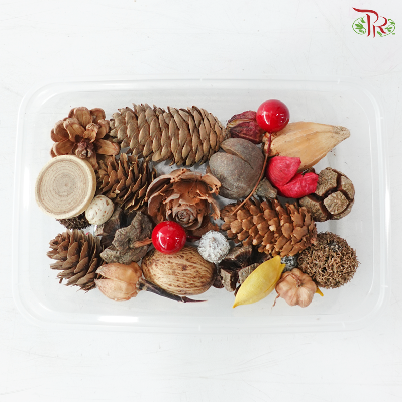 Apricot - Colored Died Fruit Mix (Random Mix)