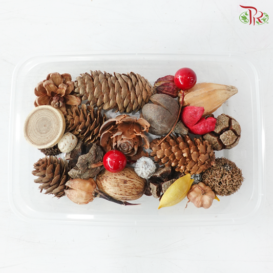 Apricot - Coloured Died Fruit Mix (Random Mix)