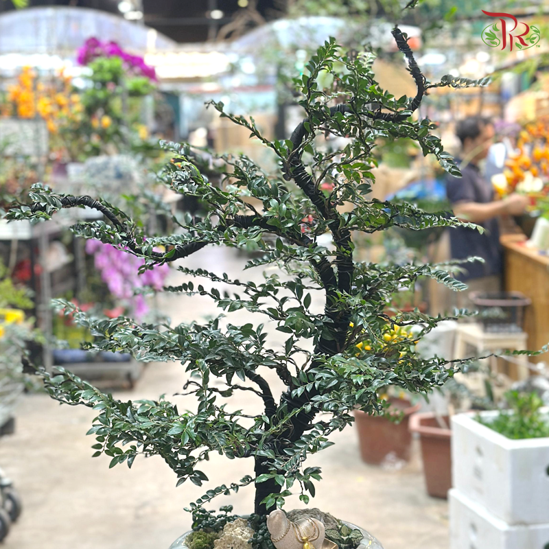 【CNY 2026】 Purple Auspice Brings Wealth (Pterocarpus Plant)《紫气生财》